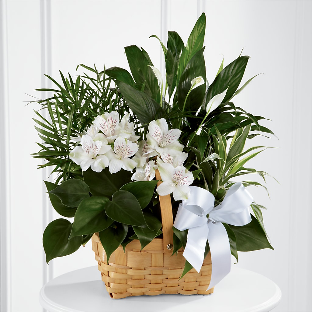 Peace & Serenity Dishgarden – The Flower Factory, Tarzana CA