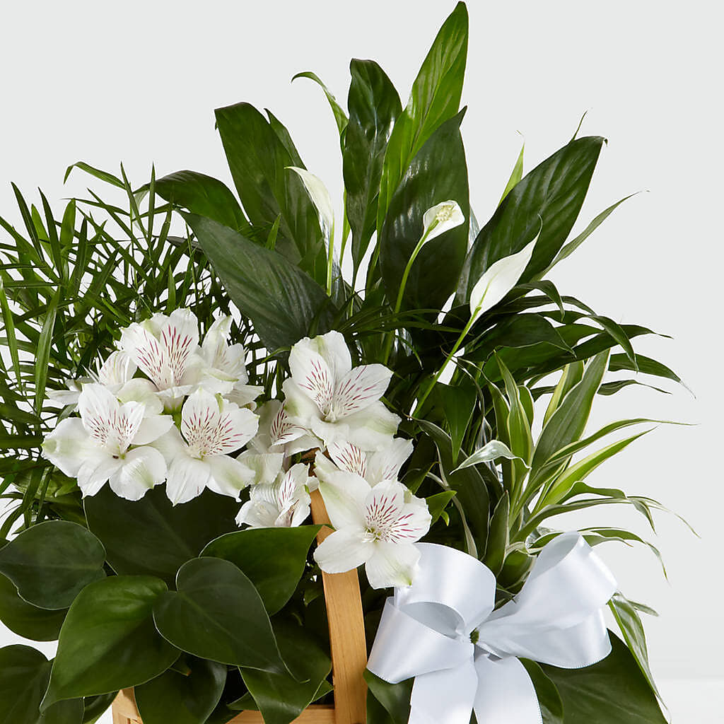 Peace & Serenity Dishgarden – The Flower Factory, Tarzana CA