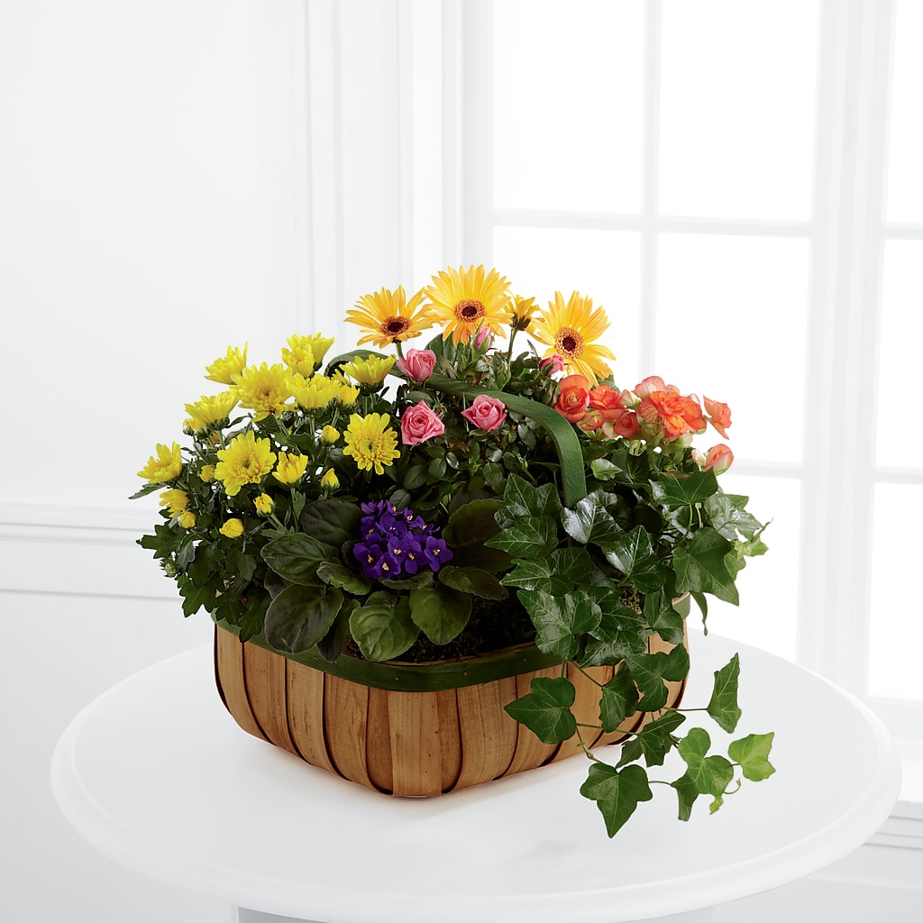 Gentle Blossoms Basket – The Flower Factory, Tarzana CA