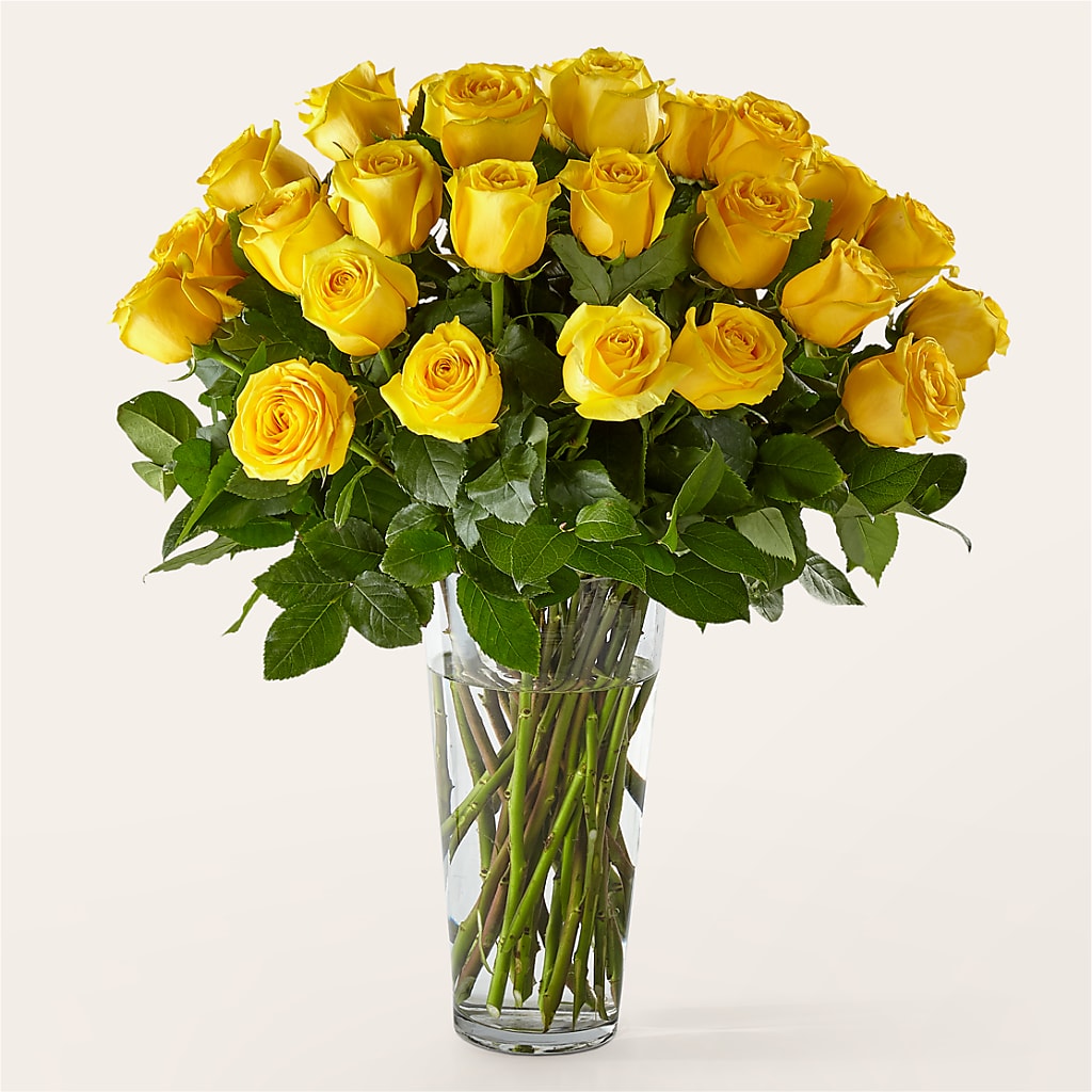 Long Stem Yellow Rose Bouquet – The Flower Factory, Tarzana CA