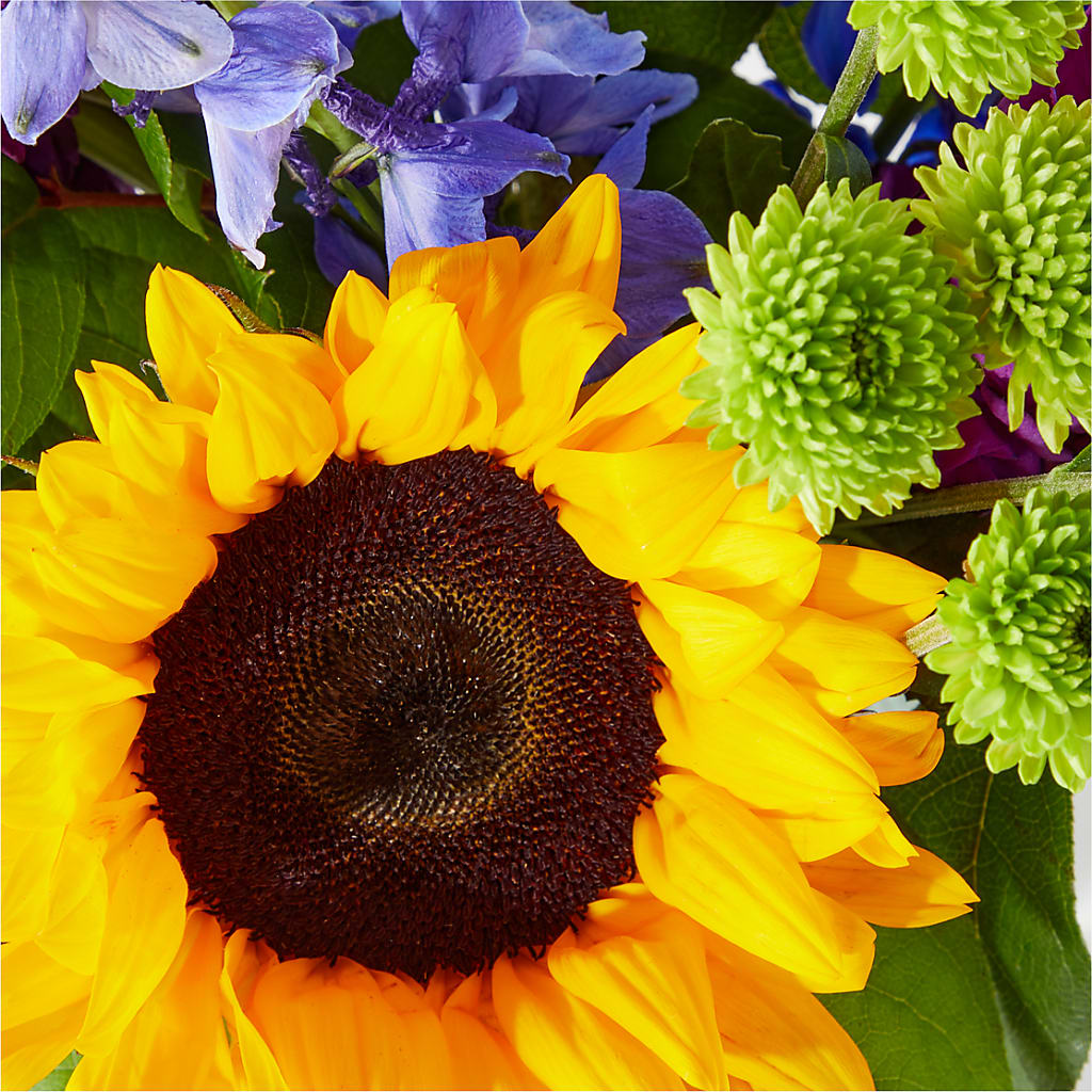Catching Rays Bouquet – The Flower Factory, Tarzana CA