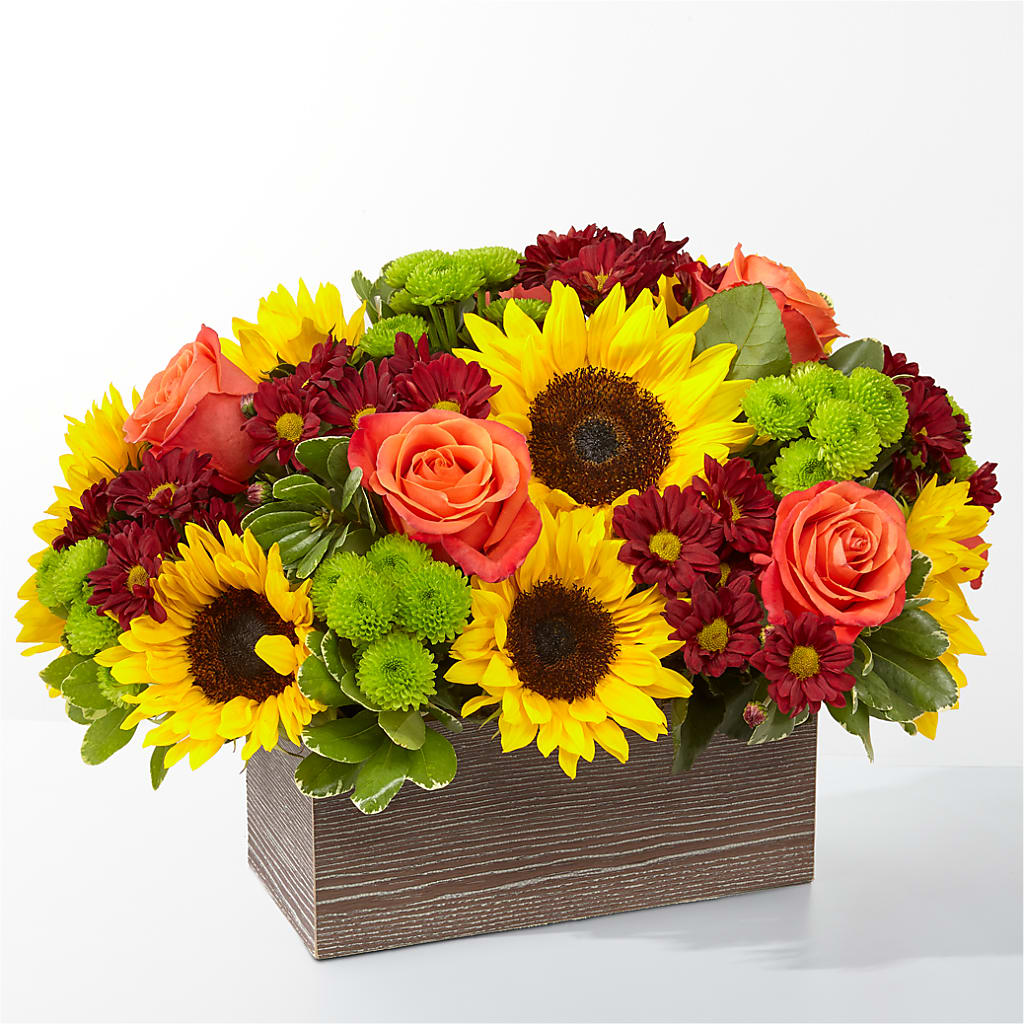 Happy Harvest Garden – The Flower Factory, Tarzana CA