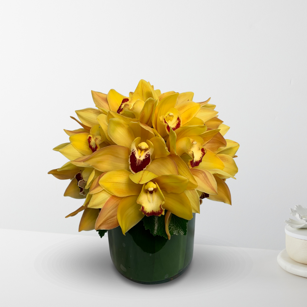 Sunshine Delight – The Flower Factory, Tarzana CA