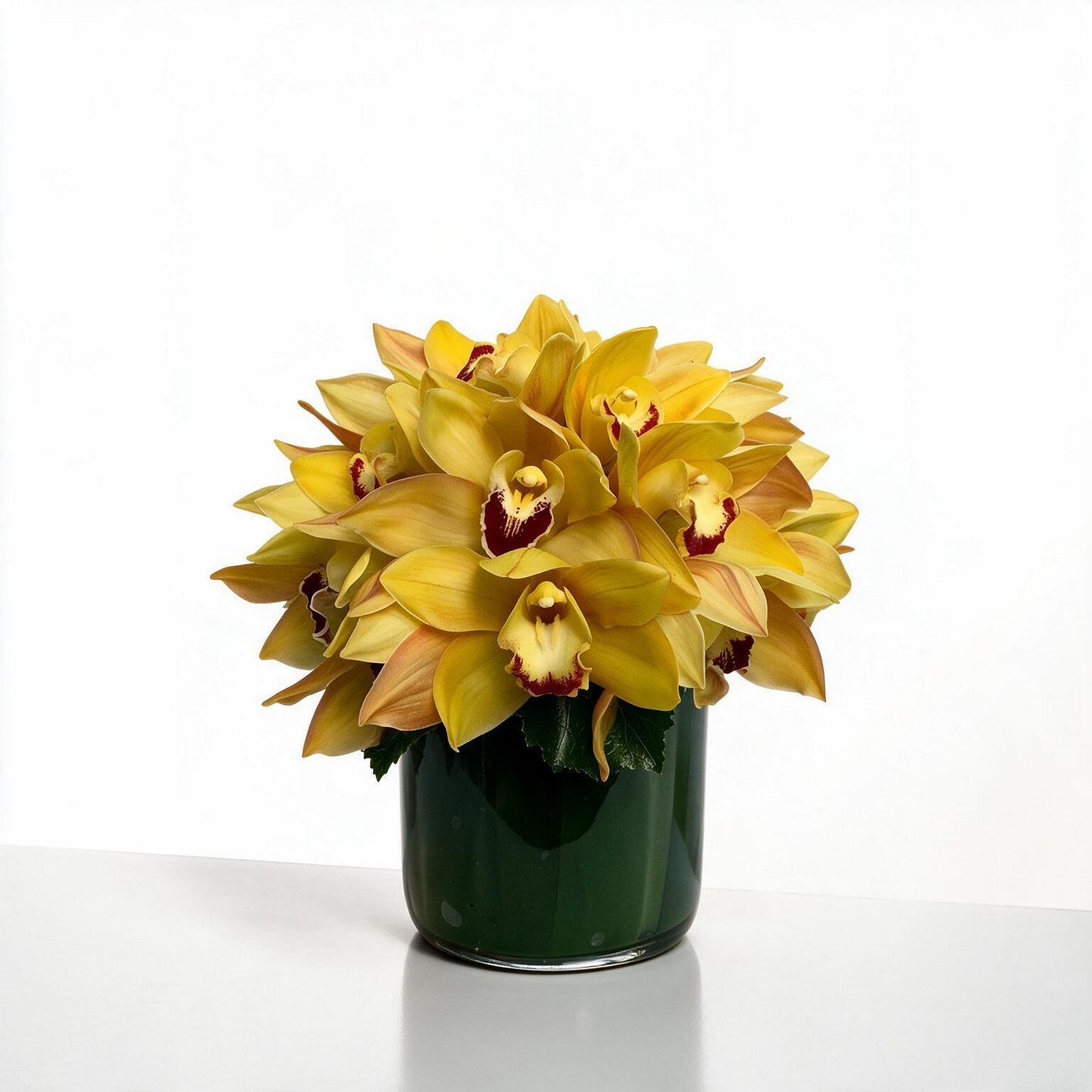 Sunshine Delight – The Flower Factory, Tarzana CA