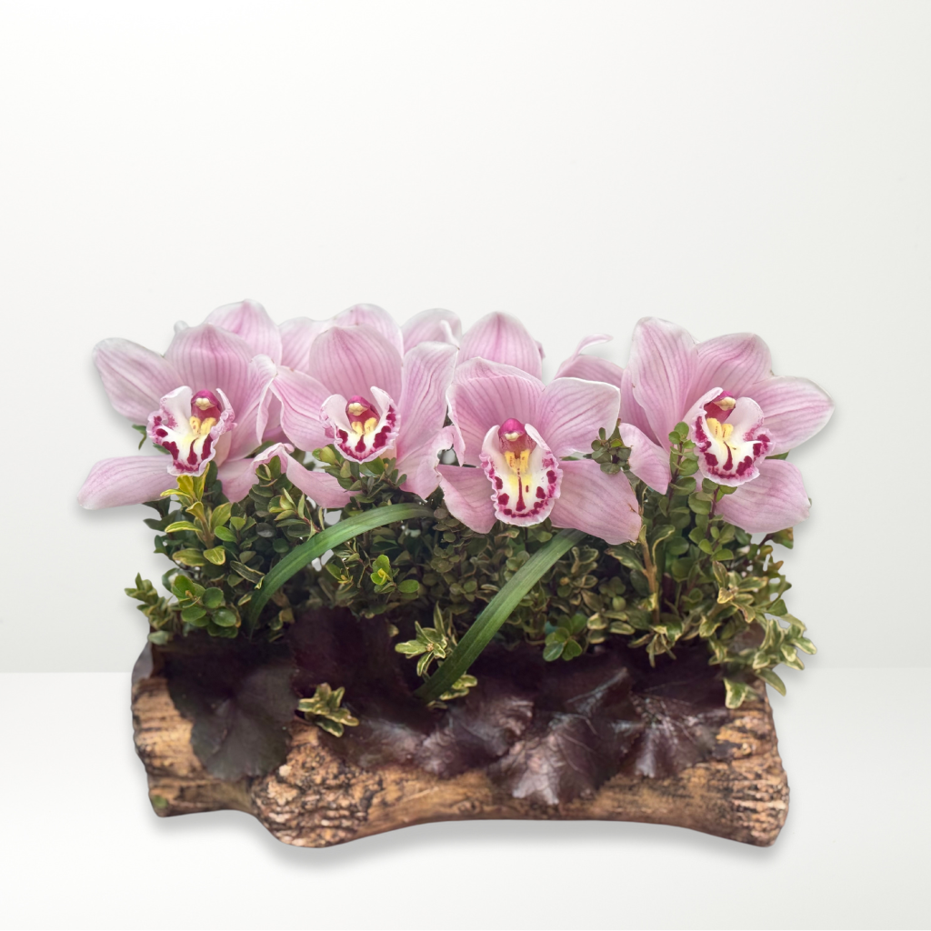 Bouquet Élégance Orchidée
