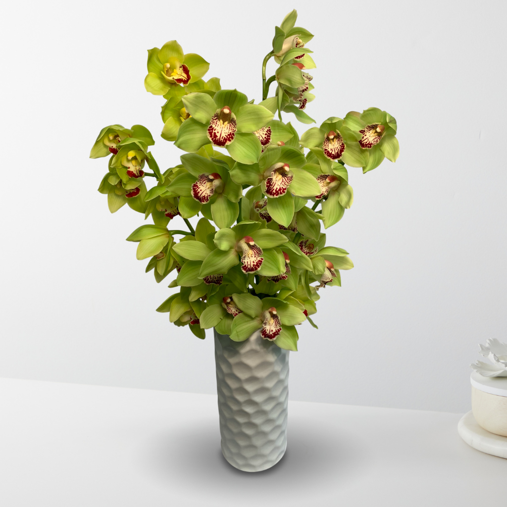 Tower of Envy – The Flower Factory, Tarzana CA
