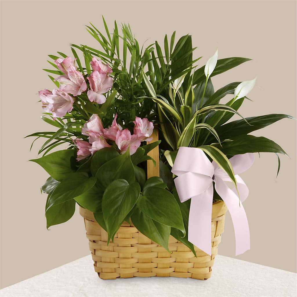 Living Spirit Dishgarden – The Flower Factory, Tarzana CA
