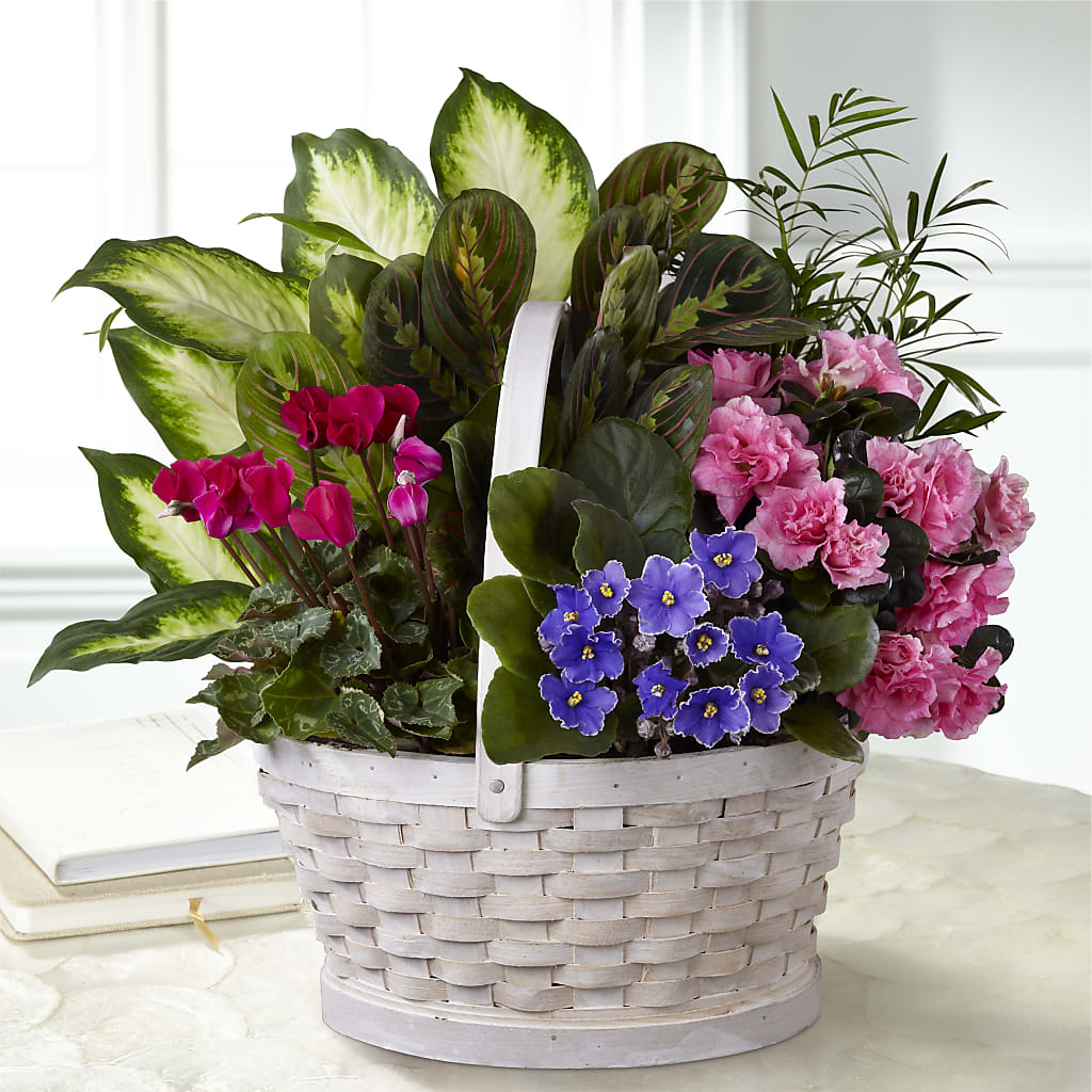 Peaceful Garden Planter – The Flower Factory, Tarzana CA