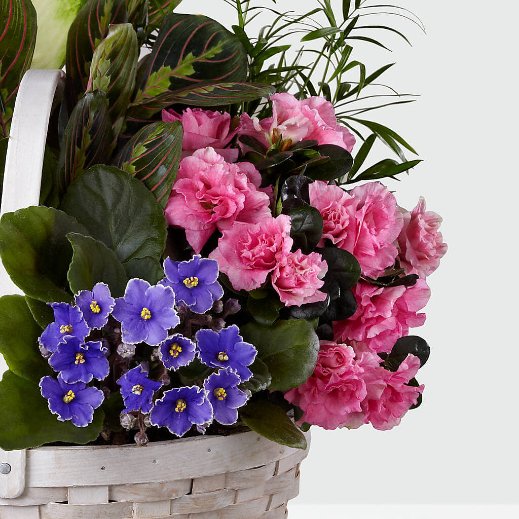 Peaceful Garden Planter – The Flower Factory, Tarzana CA