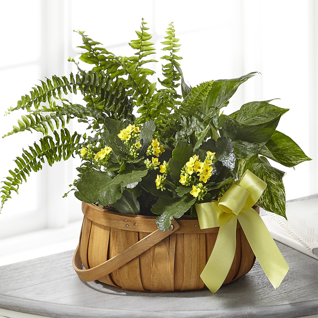 Always Dear Dishgarden – The Flower Factory, Tarzana CA