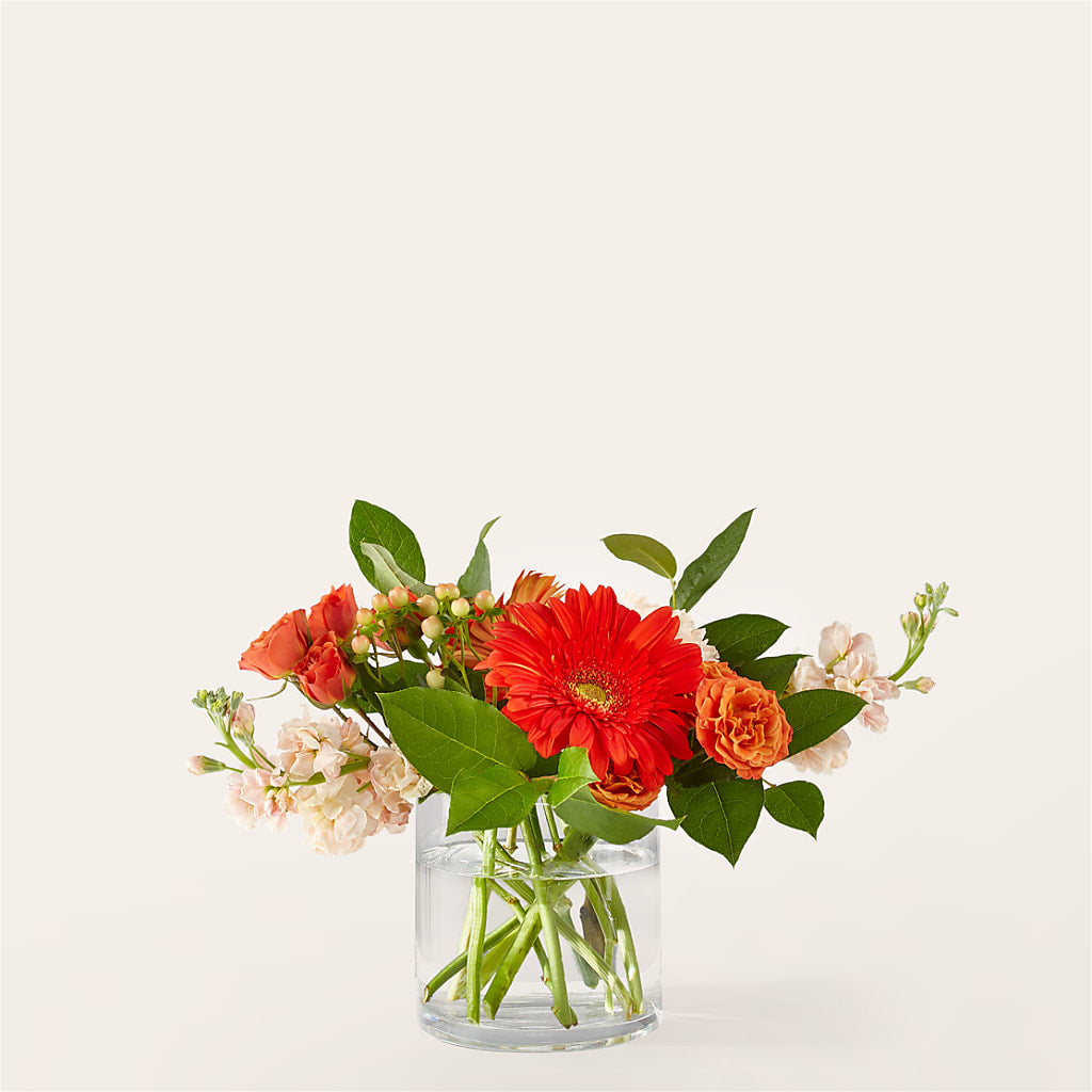 Paloma Please Bouquet – The Flower Factory, Tarzana CA