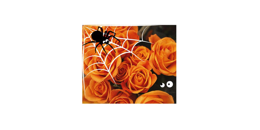 Flowers, Gifts and Halloween - October 2023