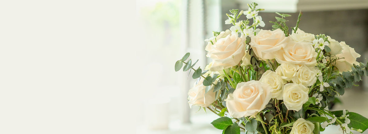 Sympathy Luxury