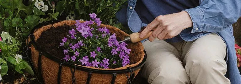 Dish Gardens