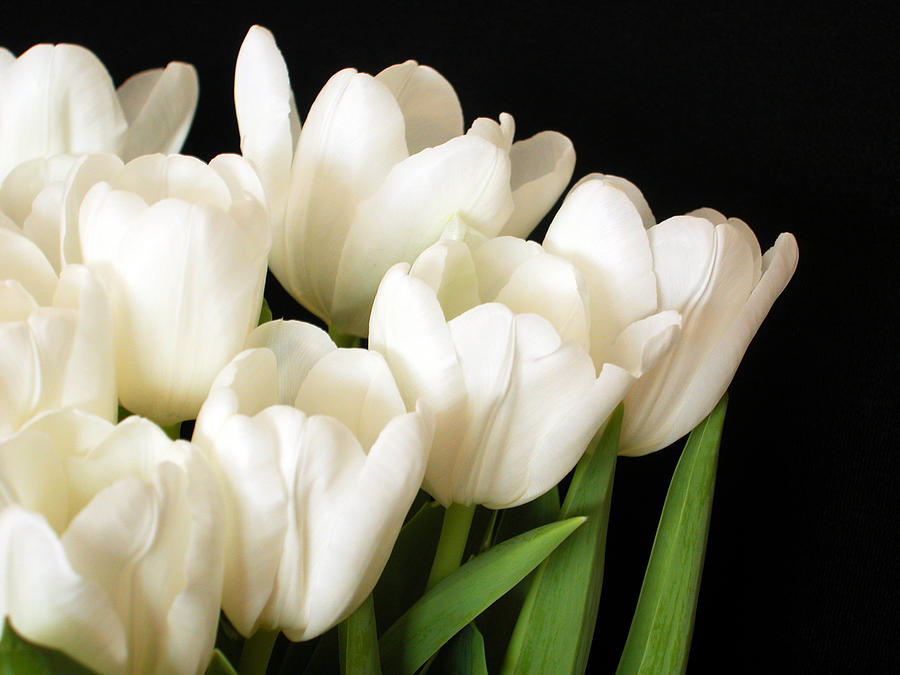 Sympathy  For The Home Flowers