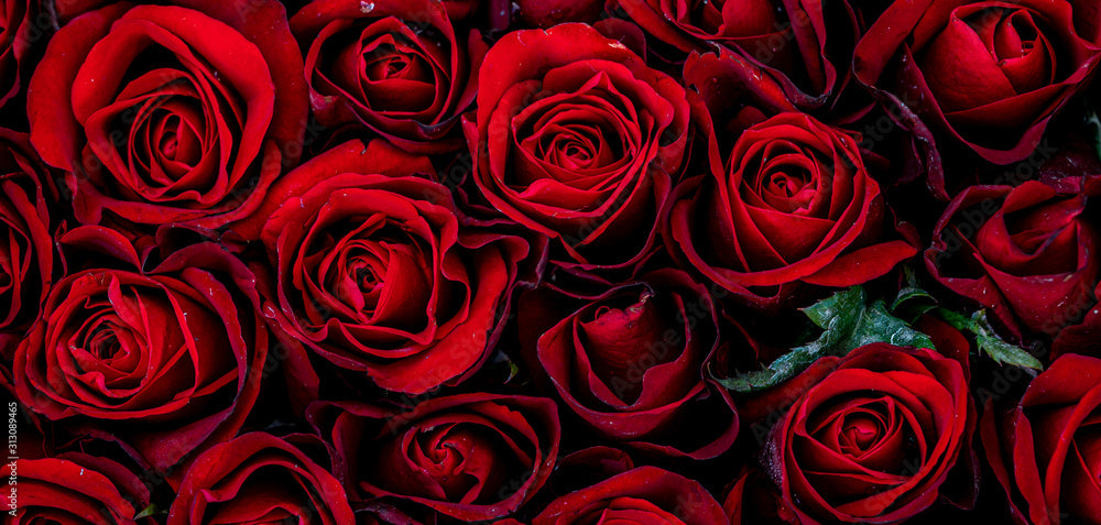 Red Roses