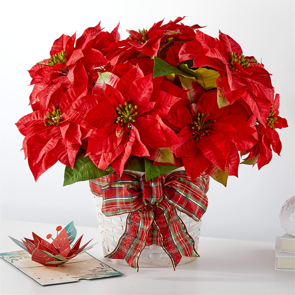 Tarjeta Happy Holidays Poinsettia y Lovepop