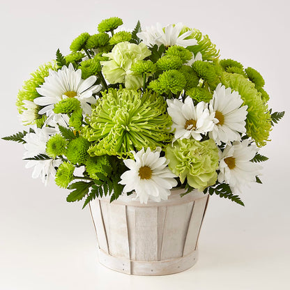 Lucky Charm Basket (Standard) –  The Flower Factory, Tarzana CA