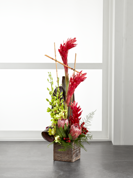 Arrangement lumineux tropical