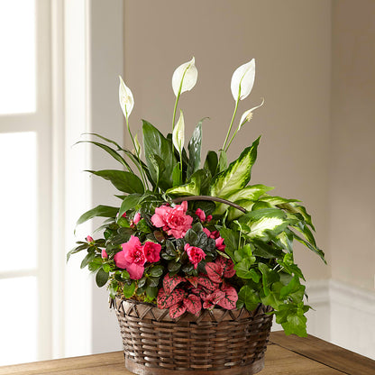 Dream in Pink Dishgarden –  The Flower Factory, Tarzana CA