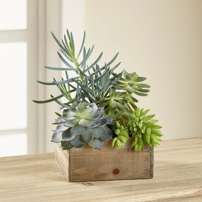 Southwest Sophistication Dishgarden –  The Flower Factory, Tarzana CA