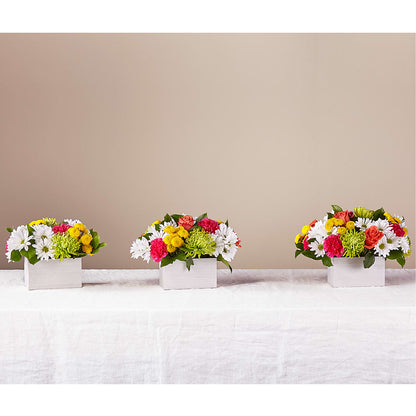 Sorbet Bouquet –  The Flower Factory, Tarzana CA
