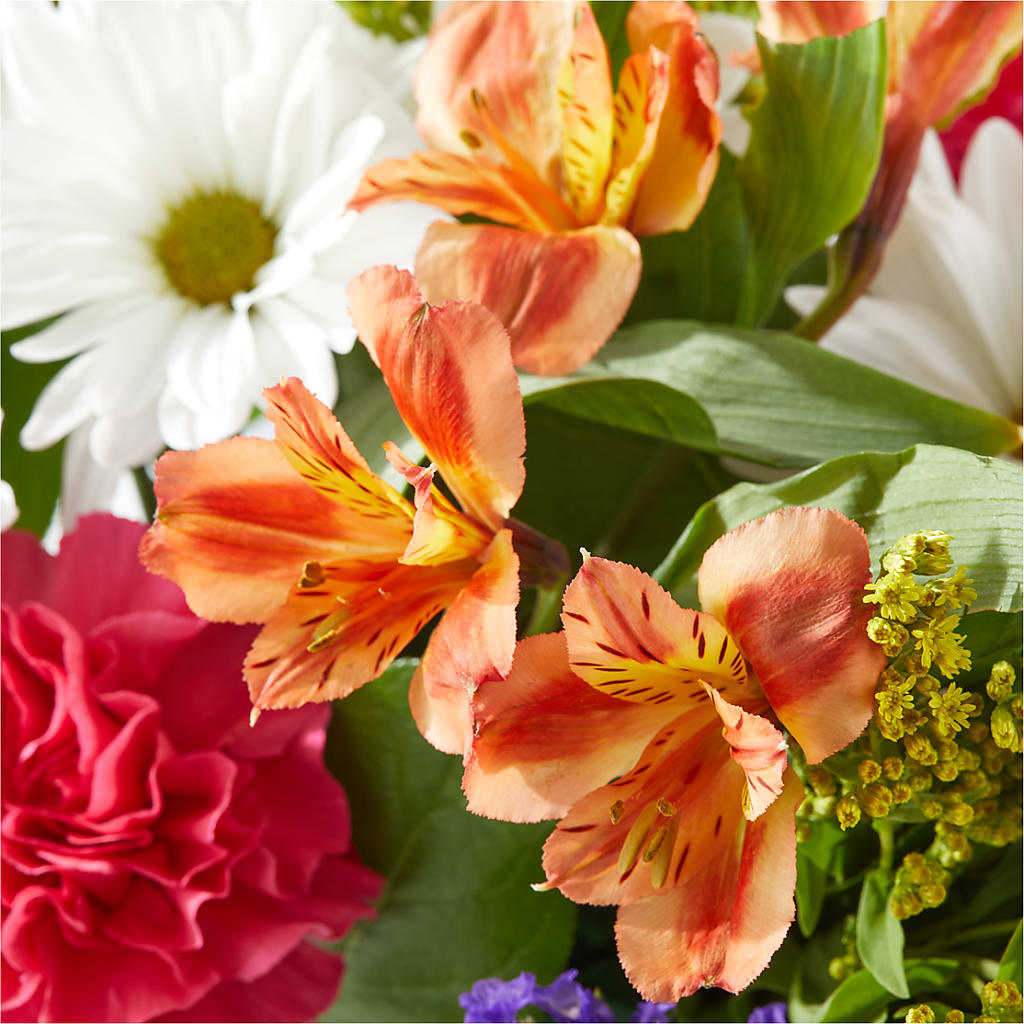 Oopsie Daisy Box Bouquet –  The Flower Factory, Tarzana CA