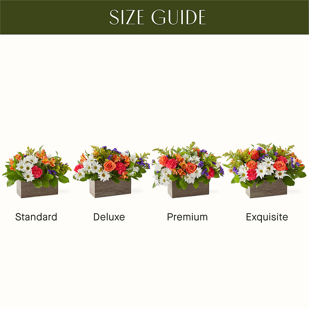 Oopsie Daisy Box Bouquet –  The Flower Factory, Tarzana CA
