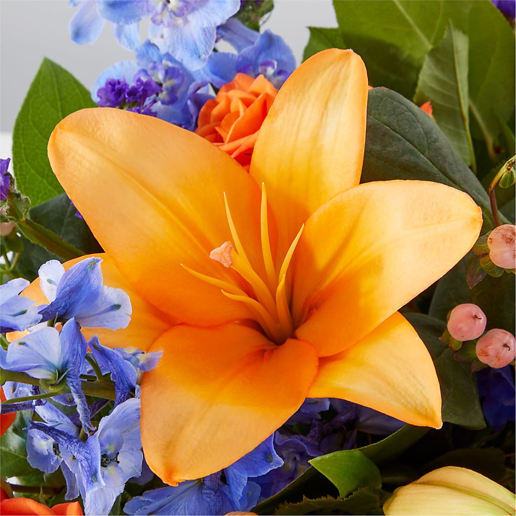 Radiant Citrus Box Bouquet –  The Flower Factory, Tarzana CA