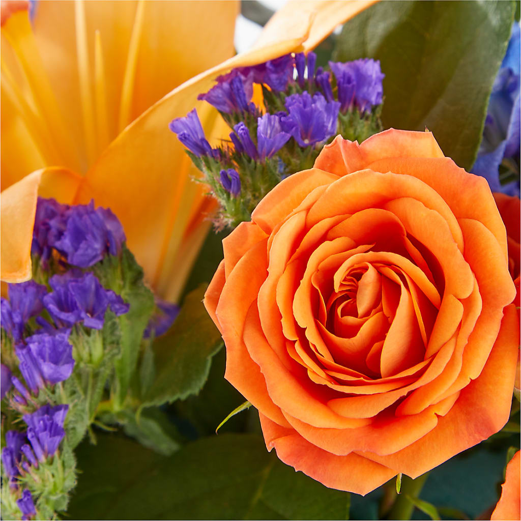 Radiant Citrus Box Bouquet –  The Flower Factory, Tarzana CA