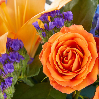 Radiant Citrus Box Bouquet –  The Flower Factory, Tarzana CA