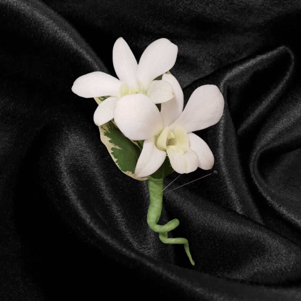 Dendro Orchid Boutonniere