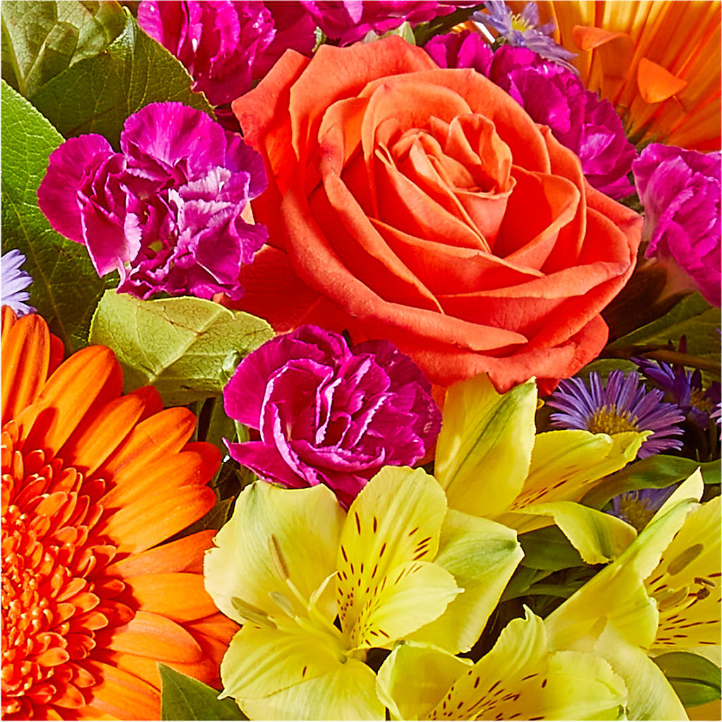 Tricks & Treats Pumpkin –  The Flower Factory, Tarzana CA