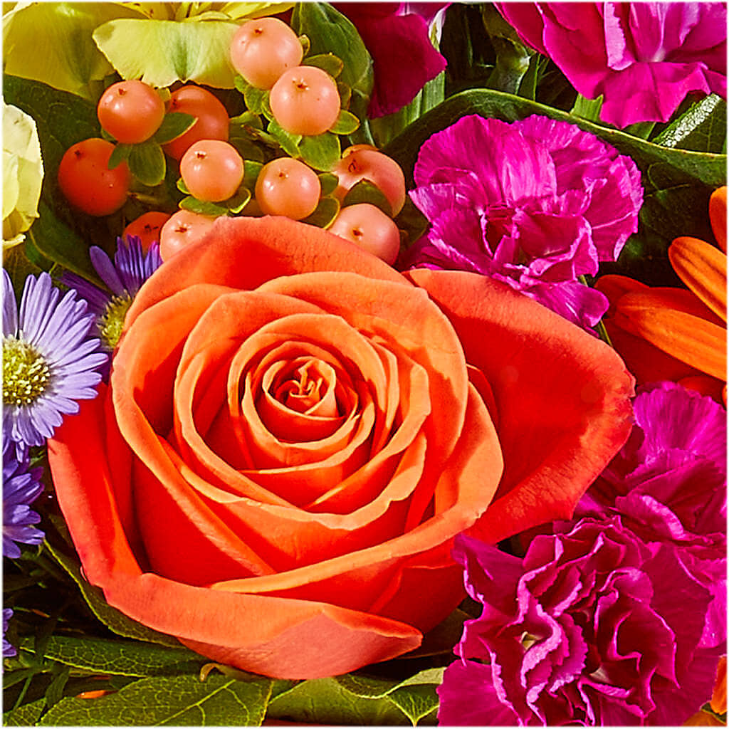 Tricks & Treats Pumpkin –  The Flower Factory, Tarzana CA