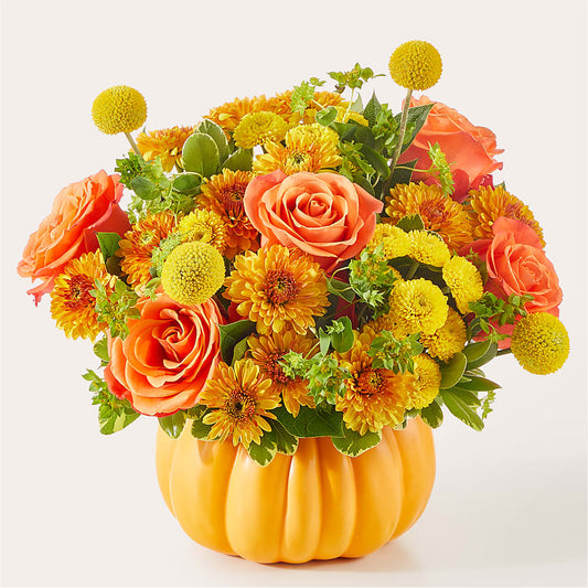Gourdgeous Pumpkin –  The Flower Factory, Tarzana CA