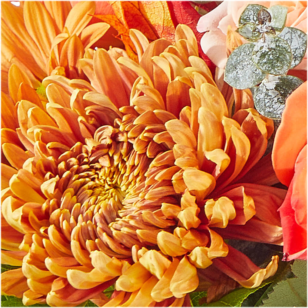 Scenic Route Bouquet –  The Flower Factory, Tarzana CA