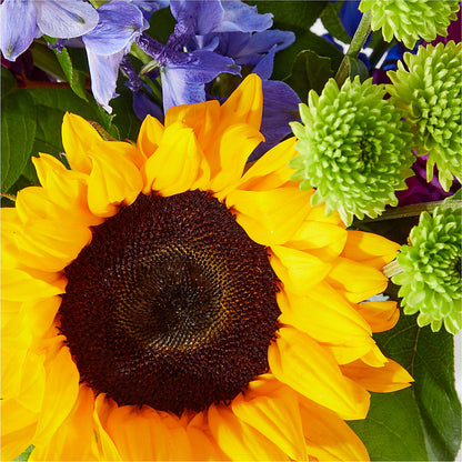Catching Rays Bouquet –  The Flower Factory, Tarzana CA