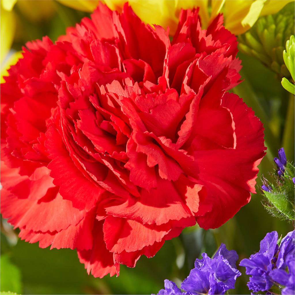 Brighter Days Bouquet –  The Flower Factory, Tarzana CA