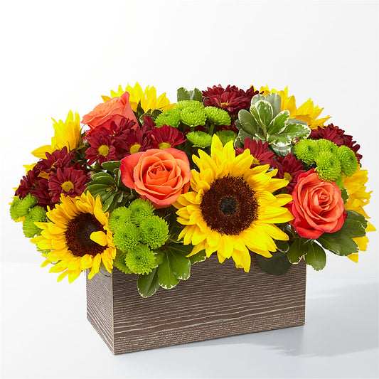 Happy Harvest Garden –  The Flower Factory, Tarzana CA