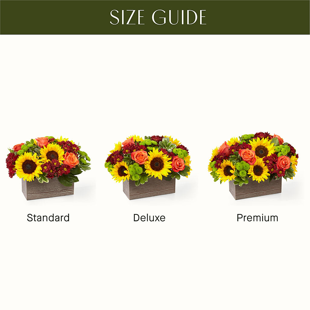 Happy Harvest Garden –  The Flower Factory, Tarzana CA