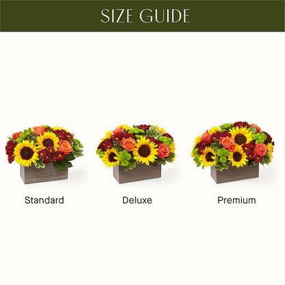Happy Harvest Garden –  The Flower Factory, Tarzana CA