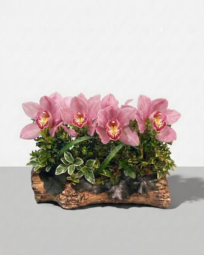 Orchid Elegance Bouquet –  The Flower Factory, Tarzana CA