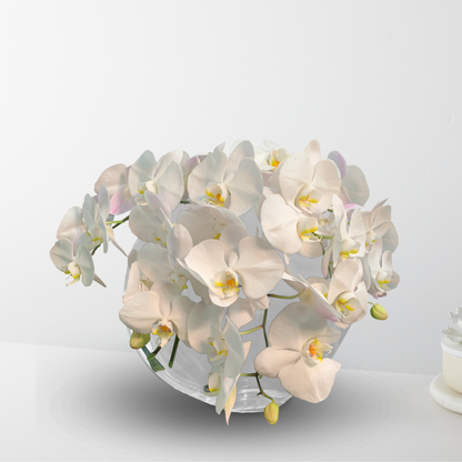 Head in the Clouds –  The Flower Factory, Tarzana CA