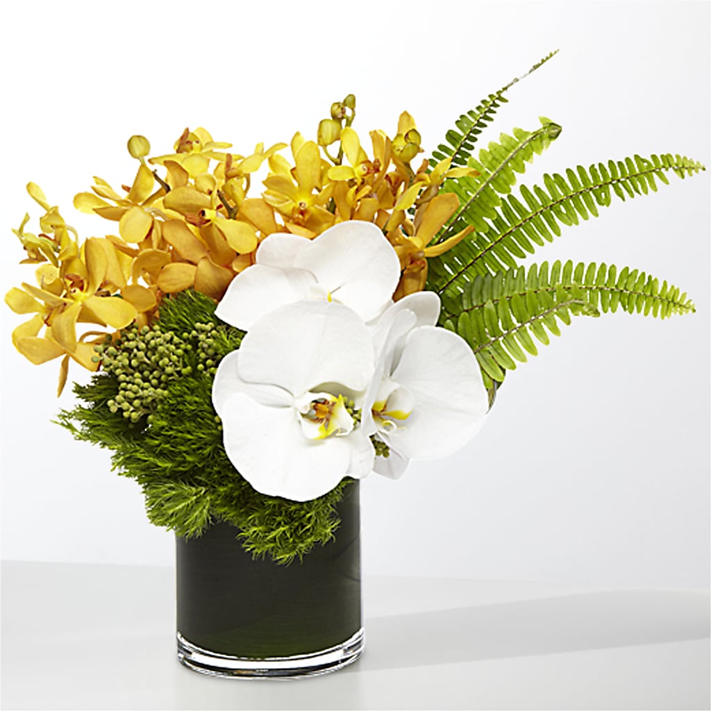 The Tropics –  The Flower Factory, Tarzana CA