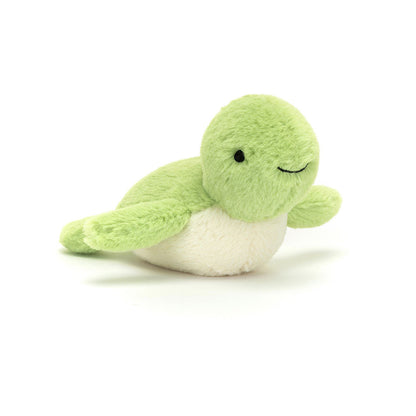 Fluffy Turtle –  The Flower Factory, Tarzana CA
