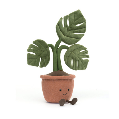 Amuseable Monstera Plant –  The Flower Factory, Tarzana CA