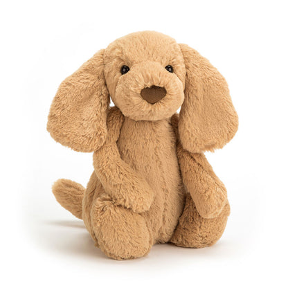 Bashful Toffee Puppy –  The Flower Factory, Tarzana CA