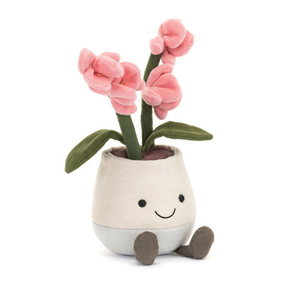 Amuseables Pink Orchid –  The Flower Factory, Tarzana CA