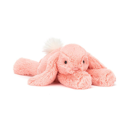 Smudge Apricot Rabbit –  The Flower Factory, Tarzana CA