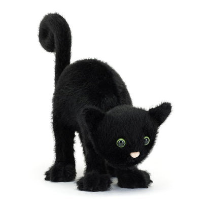 Spookipaws Cat –  The Flower Factory, Tarzana CA